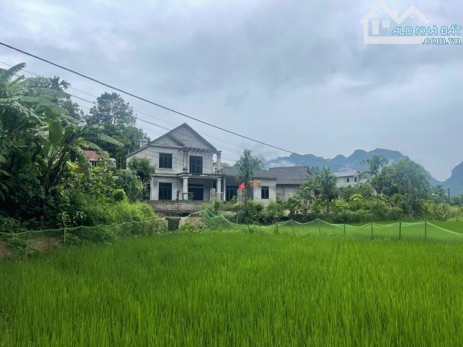 Gấp Gấp chủ ngộp tiền cần bán gấp 700m ngay gần khu DL Suối khoáng kim Bôi Hòa Bình - 2
