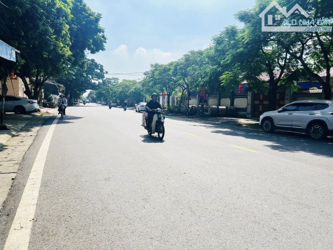 Bán lô đất 100m mặt đường 208  giá 4,xx tỷ - 2