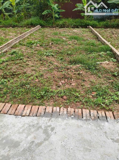 Bán đất Sen Phương Phúc Thọ 41 m2, ô tô vào đất, mặt tiền 4 m giá 1.25 tỷ. - 2