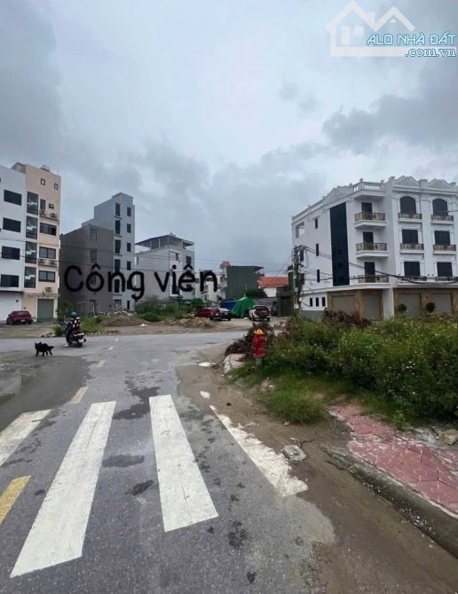 912. BÁN LÔ ĐẤT LÔ GÓC TĐC CÂY ĐA - ĐẰNG GIANG - NGÔ QUYỀN - Hp . Diện tích 85m ngang 5m - 2