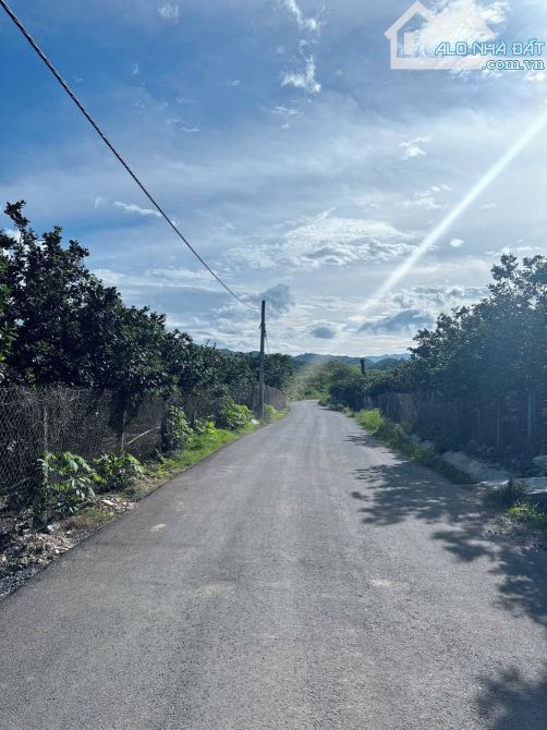 💥Bán lô 1524m2 Full Thổ cư (Tách được 12 lô) gần QL 27C KCN Sông Cầu đối diện dự án KĐT💥 - 3