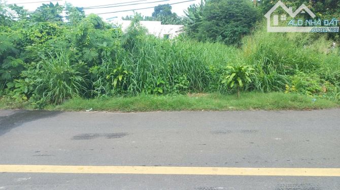 GIẢM CHỈ CÒN 1,3 TỶ TL CẦN TIỀN LO CÔNG VIỆC 🔥🔥Bán lô đất đường Phan Đăng Lưu - 3