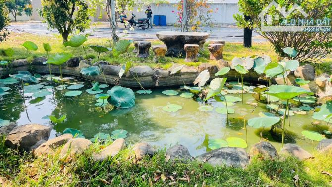 💥💥BÁN NHÀ VƯỜN TÂM HUYẾT GẦN BIỂN NO CÔNG VIỆC TẠI TT PHƯỚC HẢI - LONG ĐẤT.  Dt: 1310m2 - 3