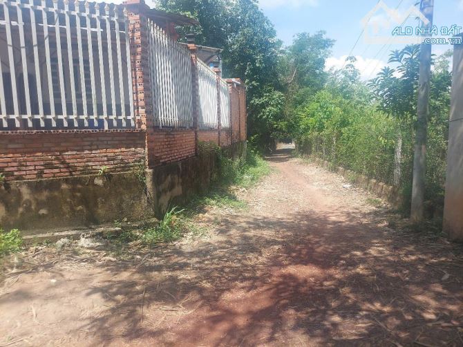 Bán nhà vườn góc 2 MT nhựa xã Nhuận Đức Củ Chi TPHCM, DT: 12x20m. - 3