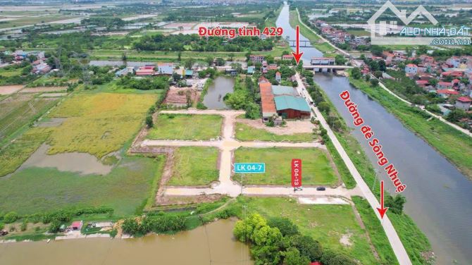 Đấu giá Âu thuyền đẹp long lanh cho quý anh chị - 3
