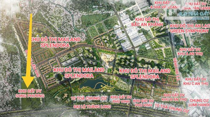 Bán 48m2 đất dịch vụ Song Phương hướng Đông Nam giá rẻ - 3