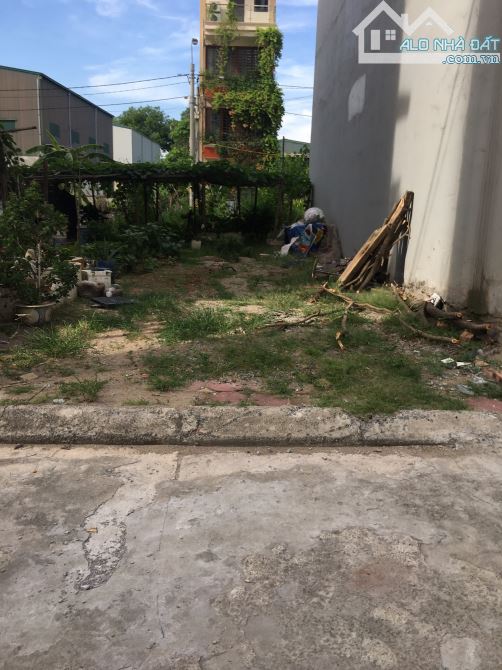 Giá cực tốt, bán đất liền kề khu Cienco 5, Tân Lập, Đan Phượng, trục chính, 77m2. - 3