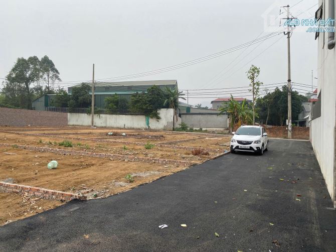 Bán đất TDP Gò Dung, Liên Bảo, Vĩnh Yên, Vĩnh Phúc - 3