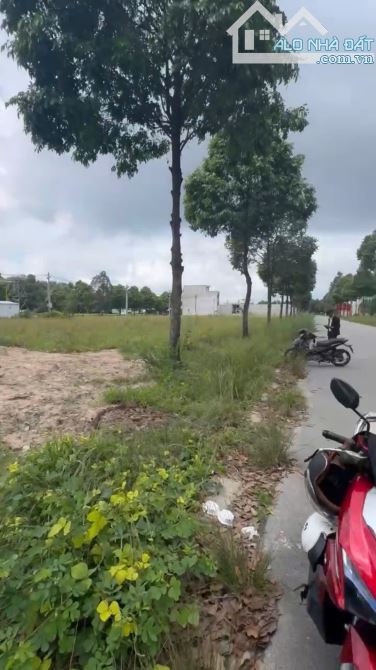 BÁN ĐẤT CHỢ ĐÊM KCN BÀU BÀNG 300M2 SƠ HỮU NGAY CHỈ VỚI 1tỷ700 TRIỆU - 3