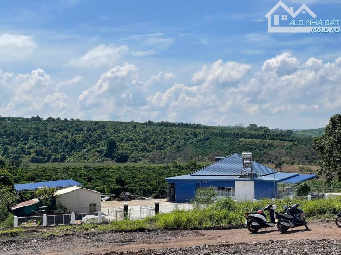 Bán 1000m2 đất xã tân hà -lâm hà lâm đồng 630 triệu có 100m2 đất ở sổ riêng - 3