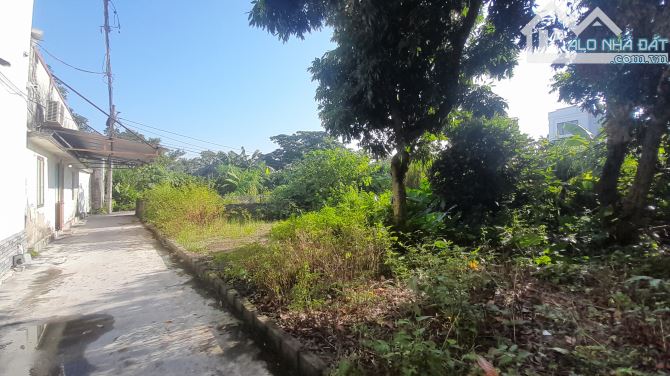 Bán Đất Hùng Vương, Hồng Bàng, HP. 1,25 tỷ, 64m2. - 3
