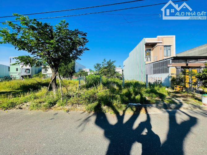 Bán gấp lô đôi 250m2 MT Võ Duy Dương, view hồ Bàu Tràm, giá chỉ 38tr/m2 - 3
