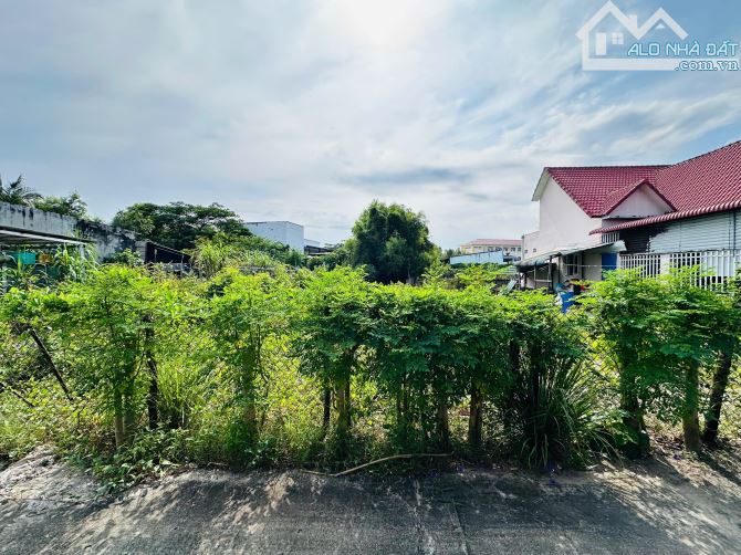 Bán 321m2 đất Thổ cư Hẻm Lê Minh Công, Tân Phước, LaGi giá đầu tư 1.3 tỷ - 3