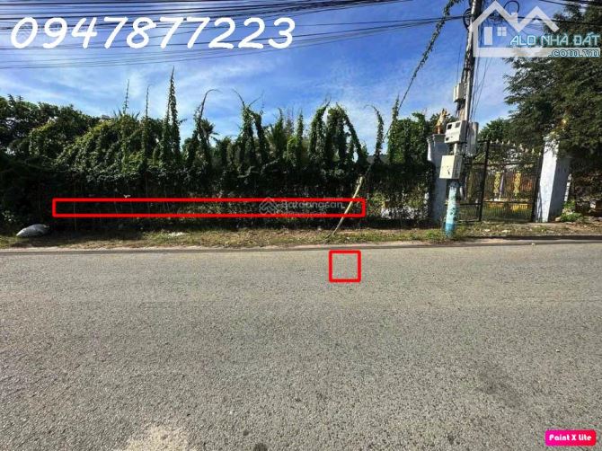 Bán đất ngang 8,8m đường ĐX17, phường Phú Mỹ cũ (nay là P. Bình Dương), TP. HCM - 3