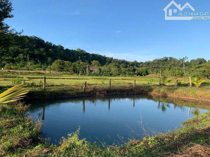 Bán 2,4 sào thổ cư 400 view ruộg cách đường nhựa 700m buôn Tiêu Xã Eatieu 1,2 tỷ - 3