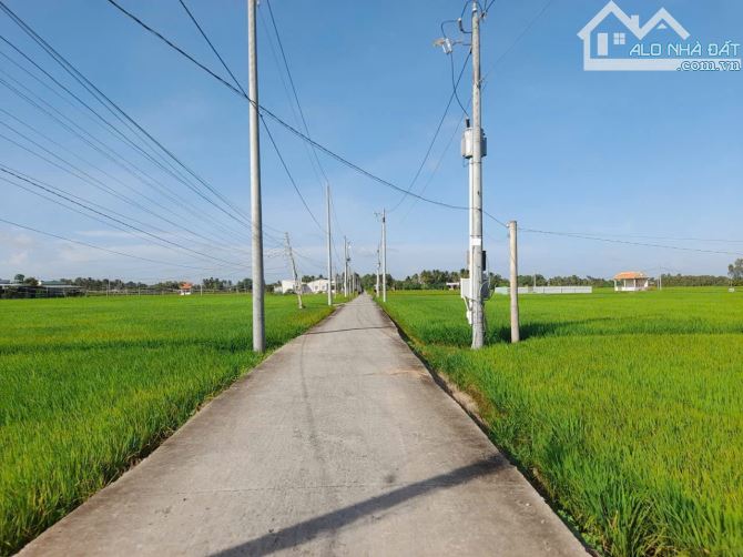 Siêu phẩm, 2060m2 đất vườn View Kênh cực đẹp, chỉ 1.3 tỷ - 3