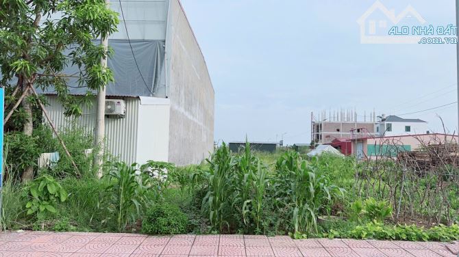Bán đất Minh Tân - Kiến Thụy - Hải Phòng - 3