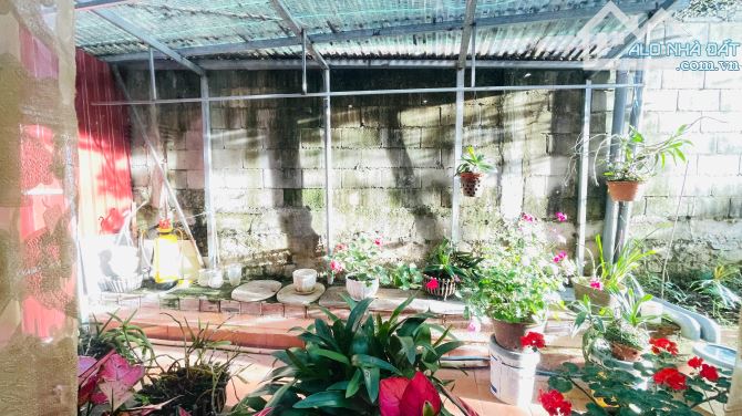 💎 Chào Bán |376m2| Biệt Thự Nghĩ Dưỡng💎22ty💎 Đường An Sơn – Đà Lạt 💎 - 3