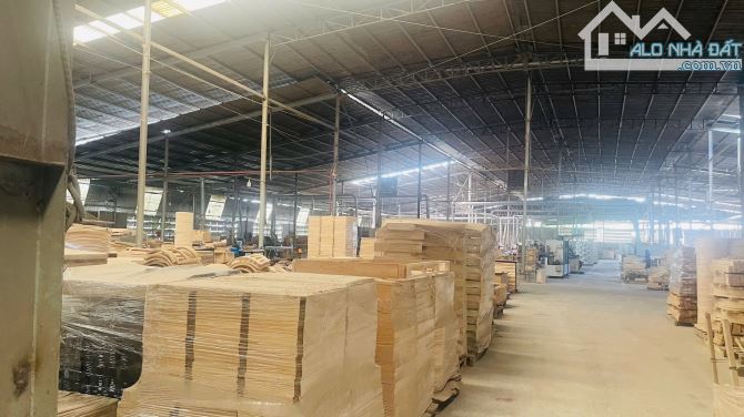 XT562 CHO THUÊ NHÀ XƯỞNG SẢN XUẤT – KHO CHỨA HÀNG. TP BIÊN HOÀ - 3