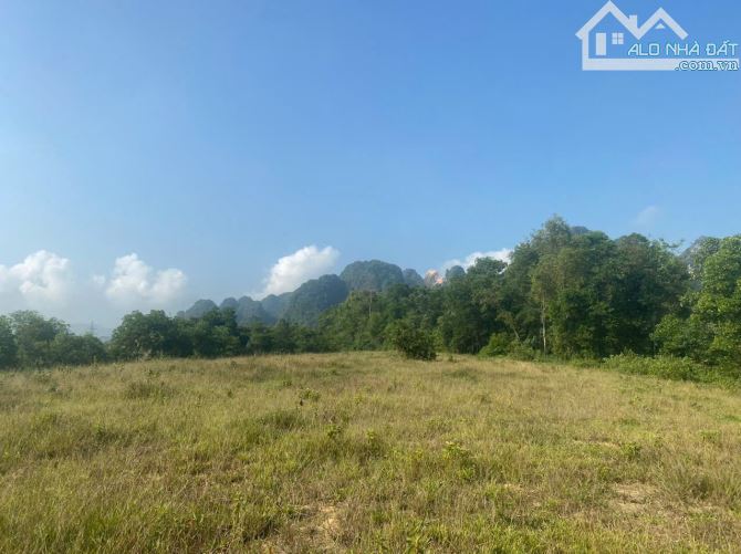 TẶNG 4000 M ĐẤT VƯỜN NGOÀI SỔ KHI MUA : 6000 M 0TN 400 M LƯƠNG SƠN       HÒA BÌNH  - GIÁ C - 3