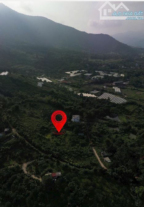 Cắt lỗ! lô đất 7700m mặt đường 200m tại khu làng châu âu- yên bình giá chỉ vài triệu - 3