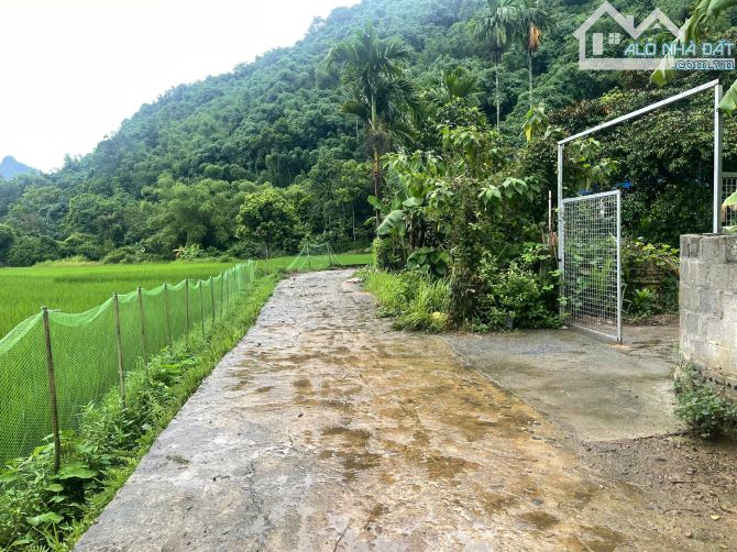 Gấp Gấp chủ ngộp tiền cần bán gấp 700m ngay gần khu DL Suối khoáng kim Bôi Hòa Bình - 3