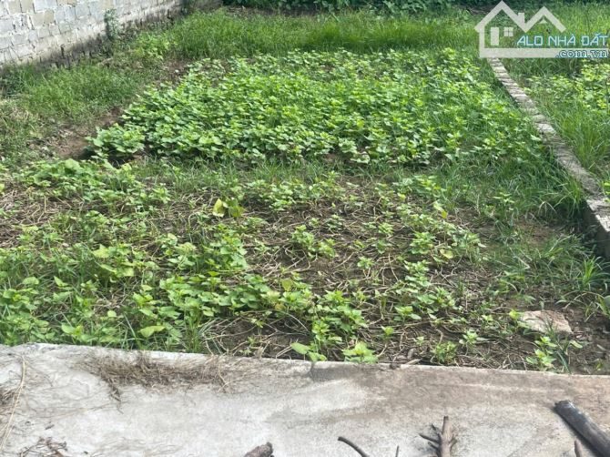 Rẻ nhất xã Bột xuyên, Mỹ Đức, Hà Nội! Chủ cần tiền giảm giá sâu 900tr 69m  full thổ. - 3