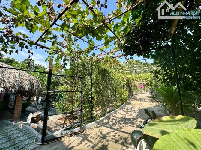 Biệt thự sân vườn 700m2- HXT đường Thới An 16 Quận 12- Ngang khủng 23m dài 41m- Chỉ 7 đồng - 3