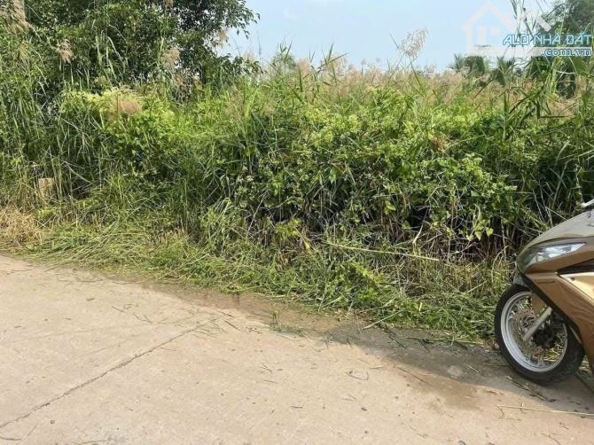 Nền thổ cư Tân Bửu Bến Lức nở hậu đường Bê tông giá chỉ 1ty250 - 3