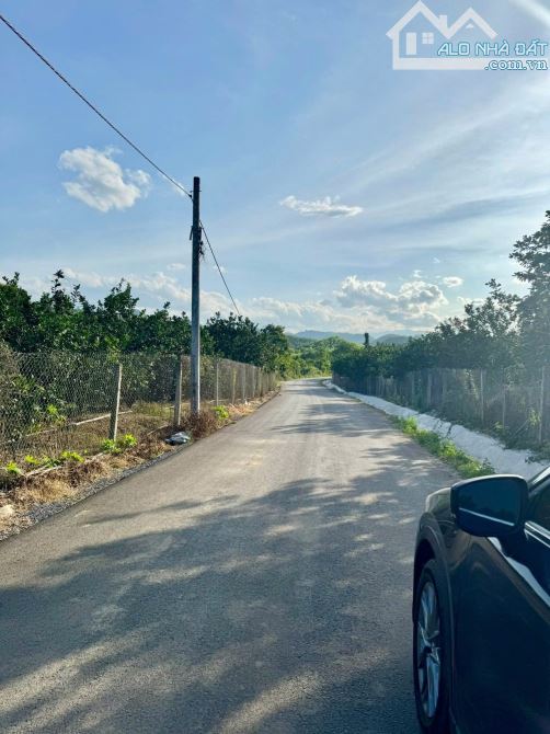 💥Bán lô 1524m2 Full Thổ cư (Tách được 12 lô) gần QL 27C KCN Sông Cầu đối diện dự án KĐT💥 - 4