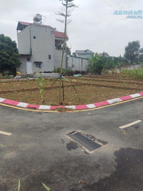 Lô góc 64m sen trì đường thông chỉ nhỉnh 2 tỷ, giá rẻ quá - 4