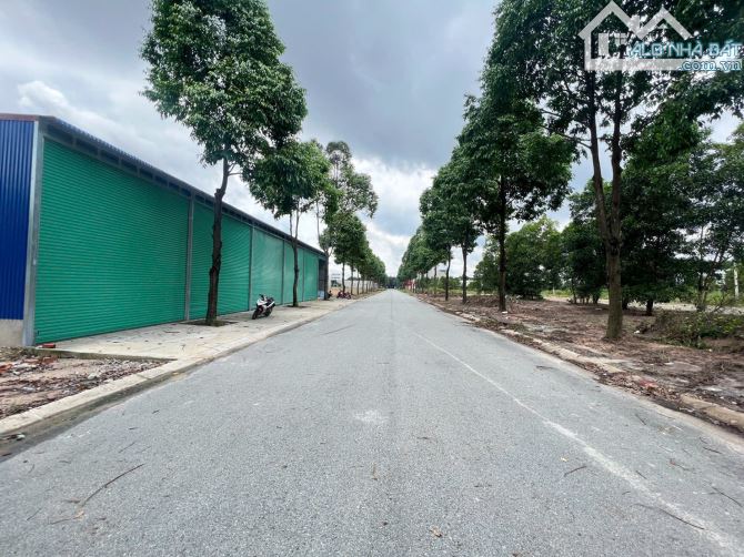 BÁN ĐẤT CHỢ ĐÊM KCN BÀU BÀNG 150M2 SỞ HỮU NGAY 925TRIỆU - 4