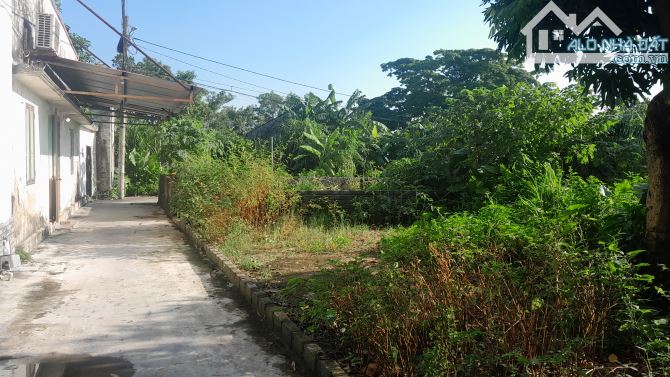 Bán Đất Quỳnh Cư, Hồng Bàng, HP. 1,25 tỷ, 64m2. - 4