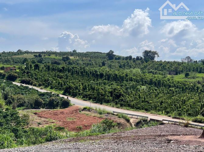 BÁN 1000m² ĐẤT ĐẸP – GIÁ 630 TRIỆU - Vị trí: Tân Hà, Lâm Hà, Lâm Đồng - 4
