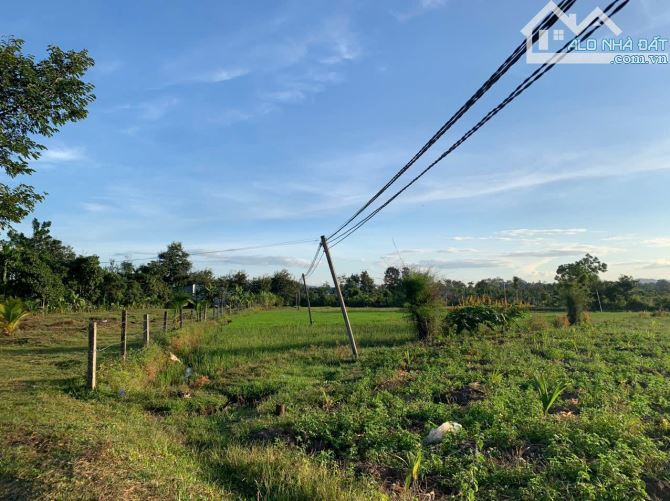 Bán 2,4 sào thổ cư 400 view ruộg cách đường nhựa 700m buôn Tiêu Xã Eatieu 1,2 tỷ - 4