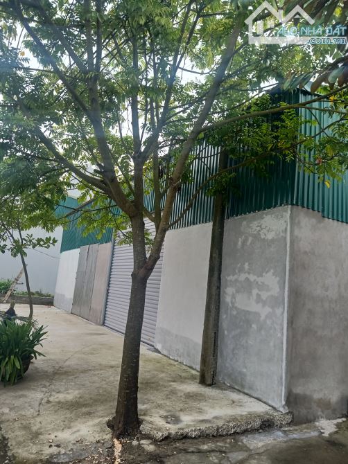 Đất 26ha phú xuân TP Thái Bình cũ. Cần bán gấp, dễ thương lượng. - 4