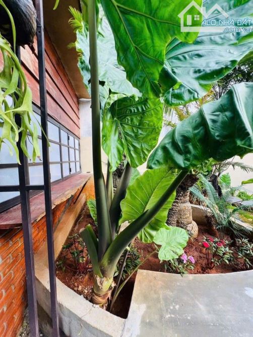 [3TY3- GIÁ TỐT] NHÀ MẶT TIỀN A12 PHẠM NGŨ LÃO – CÁCH NGÃ SÁU CHỈ 2,5KM - 4