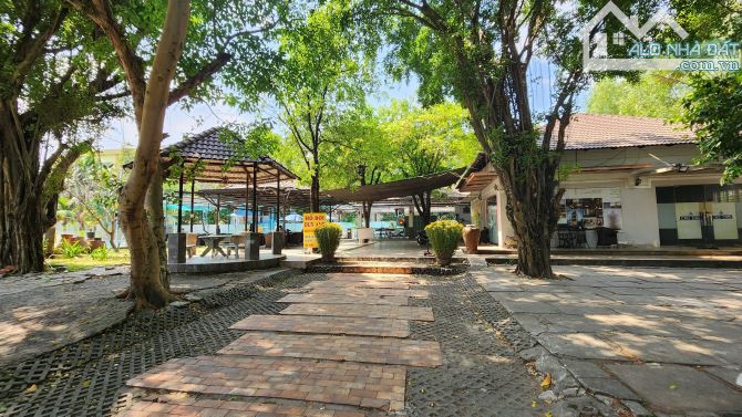 BÁN ĐẤT VÀNG 2.245m2 TRUNG TÂM THUẬN AN – BÌNH DƯƠNG (cũ) - 4