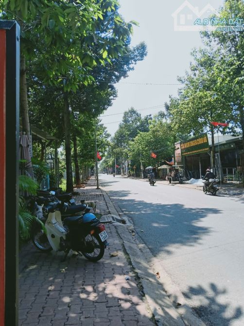 ĐẤT THỔ CƯ SHR TRUNG TÂM HÀNH CHÍNH THỦ DẦU MỘT- KẾ ỦY BAN, 600M ĐẾN BỆNH VIỆN &TRƯỜNG HỌC - 4