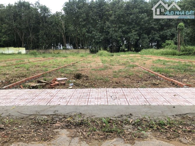 🔥 Bán đất thổ cư 115m² Trảng Bom – Gần tổng kho Logistic, giá 1,23 tỷ! - 4