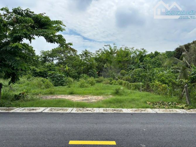 224m2 (10x24m) bán lỗ giá 800TR ngay TT Củ Chi, mặt tiền đường Nguyên Văn Ni - 4