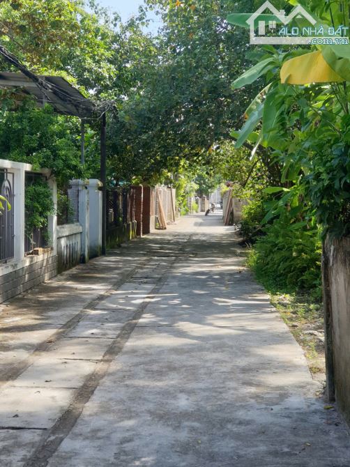 ĐẤT PHÚ BÀI ĐƯỜNG Ô TÔ GẦN CHỢ PHÚ BÀI 176M GIÁ CHỈ 9TR/M - 4
