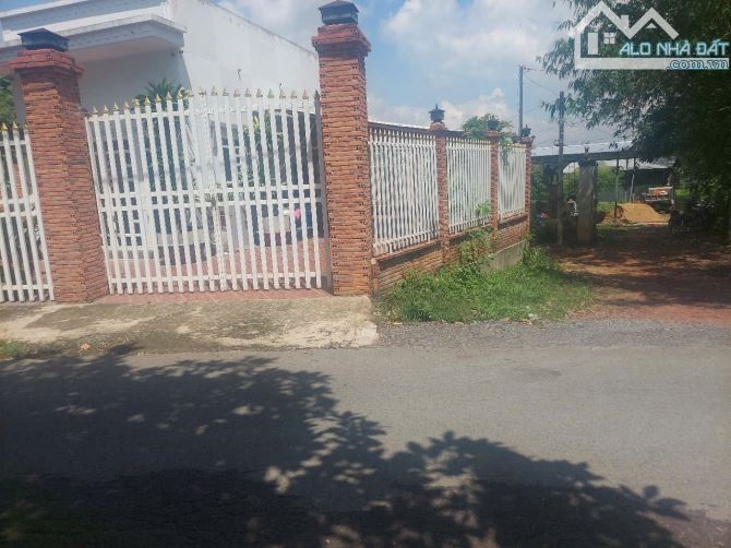 Bán nhà vườn góc 2 MT nhựa xã Nhuận Đức Củ Chi TPHCM, DT: 12x20m. - 5