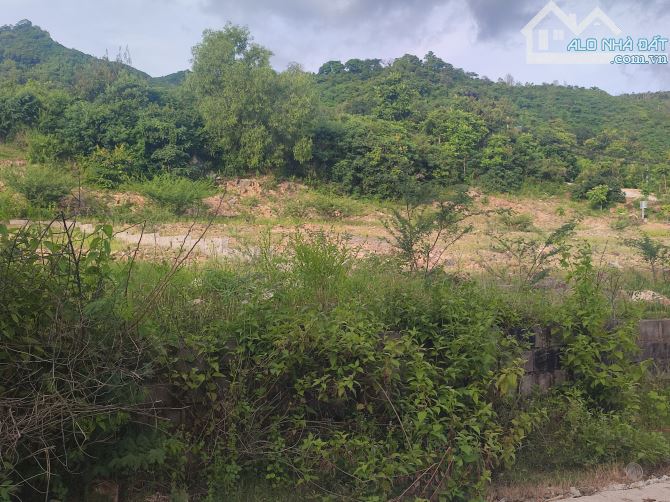 🏡 BÁN ĐẤT KHU BIỆT THỰ HÒN SỆN – TRIỆU QUANG PHỤC, NHA TRANG 🌊  💠 - 5