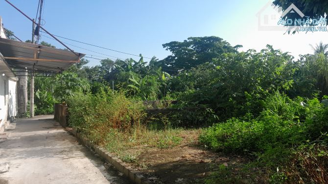 Bán Đất Quỳnh Cư, Hồng Bàng, HP. 1,25 tỷ, 64m2. - 5