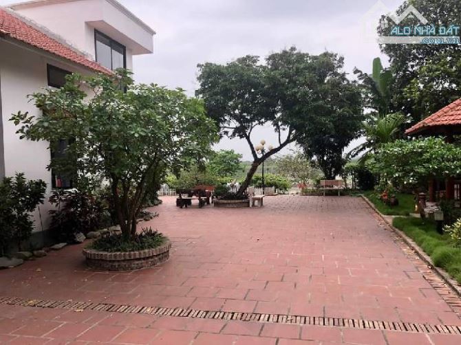 Bán biệt thự vẹn sông đuống 757m2 view sồng cực kỳ đẹp và thơ mộng , cực hiếm có một không - 5