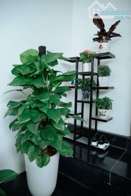 Bán nhà Tôn thất bật An Tây,tp huế,hàng hiếm,giá tốt,sách va li vào ở ngay. - 5