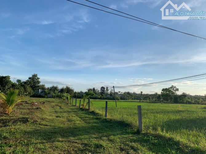 Bán 2,4 sào thổ cư 400 view ruộg cách đường nhựa 700m buôn Tiêu Xã Eatieu 1,2 tỷ - 5