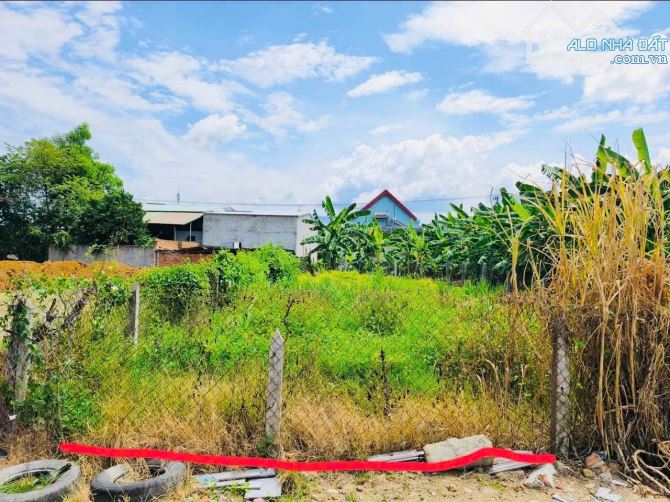 Đất Thổ Cư đẹp đường nhựa Giá tốt- Cách Nha Trang 15phut. - 5
