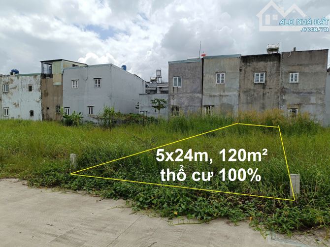 Bán Đất Đường Huỳnh Thị Quyến, Xã Bình Mỹ, Củ Chi, 5x24m, 120m2 full Thổ Cư, Chỉ 2.15 Tỷ - 5